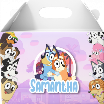 bluey amigos cajita